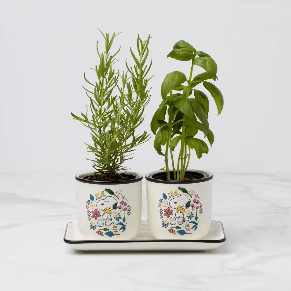Chef Snoopy Herb Pots, Set Of 3