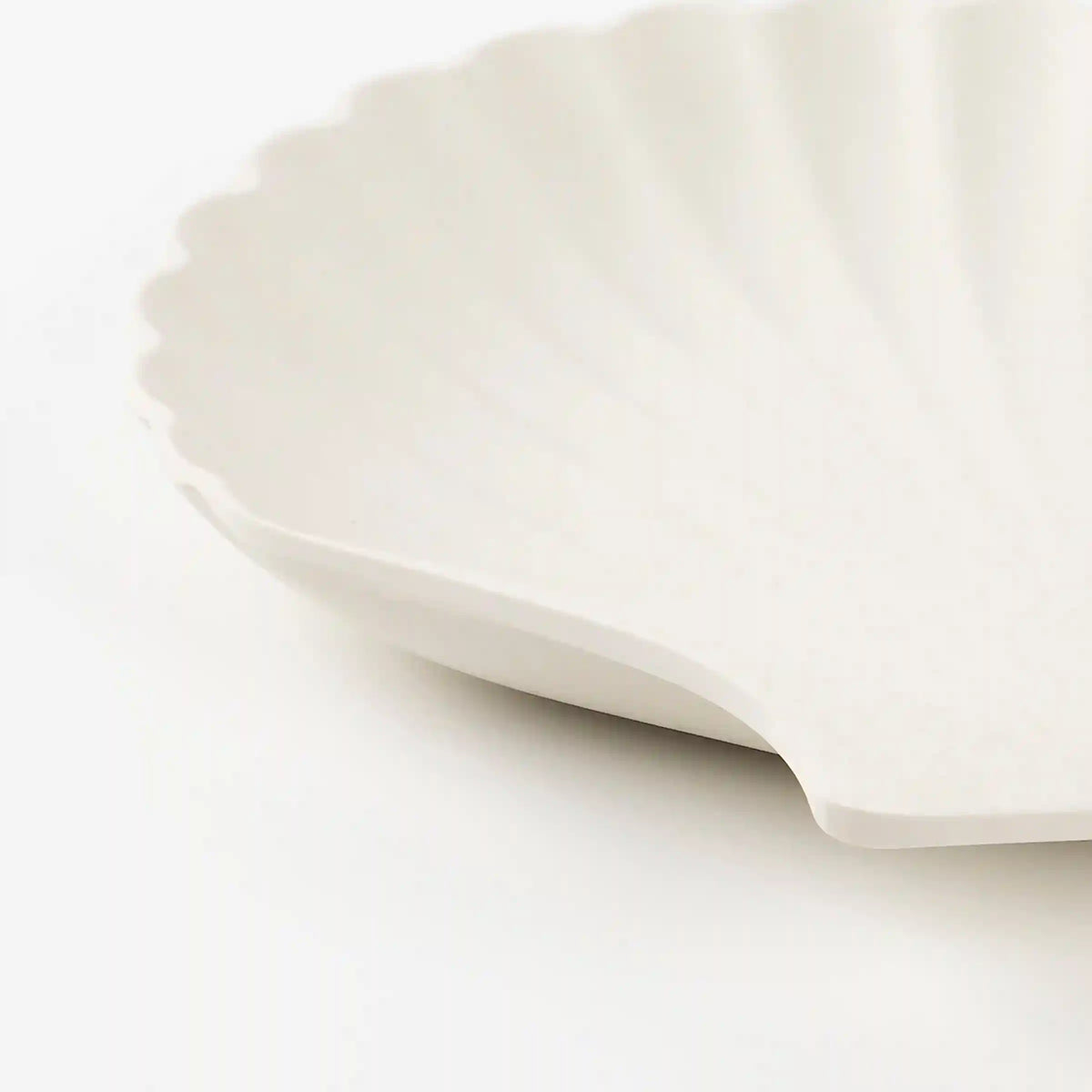 Bamboo Natural Shell Plates, Set of 6