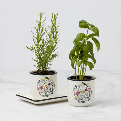 Chef Snoopy Herb Pots, Set Of 3