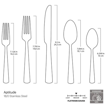 Aptitude Midnight Glossy 20-Piece Flatware Set