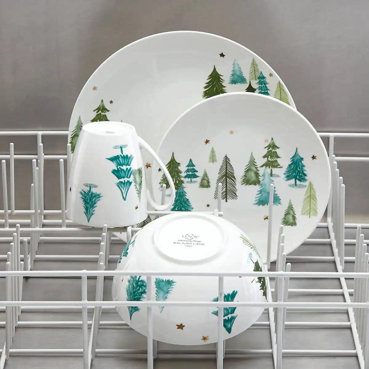 Balsam Lane Dinner Plates, Set of 4