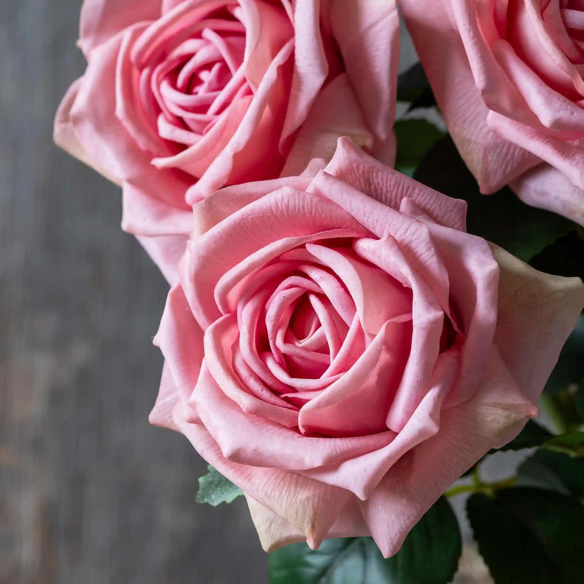 Artificial Real Touch Peach Rose Stem