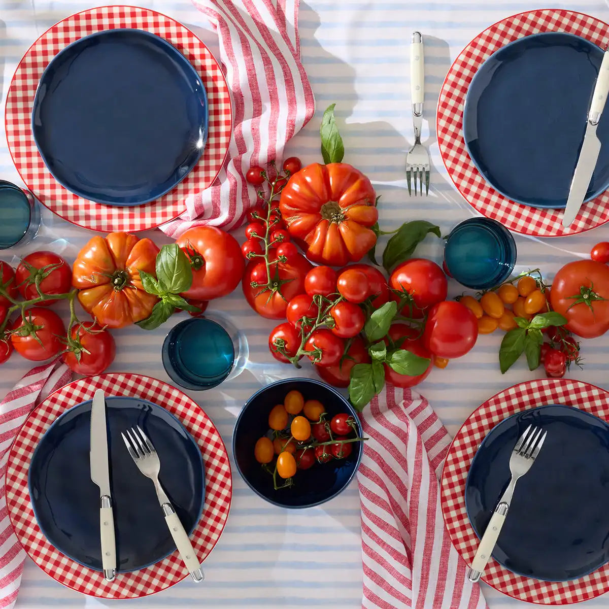 Gingham Red Dinner Plates, Set of 4