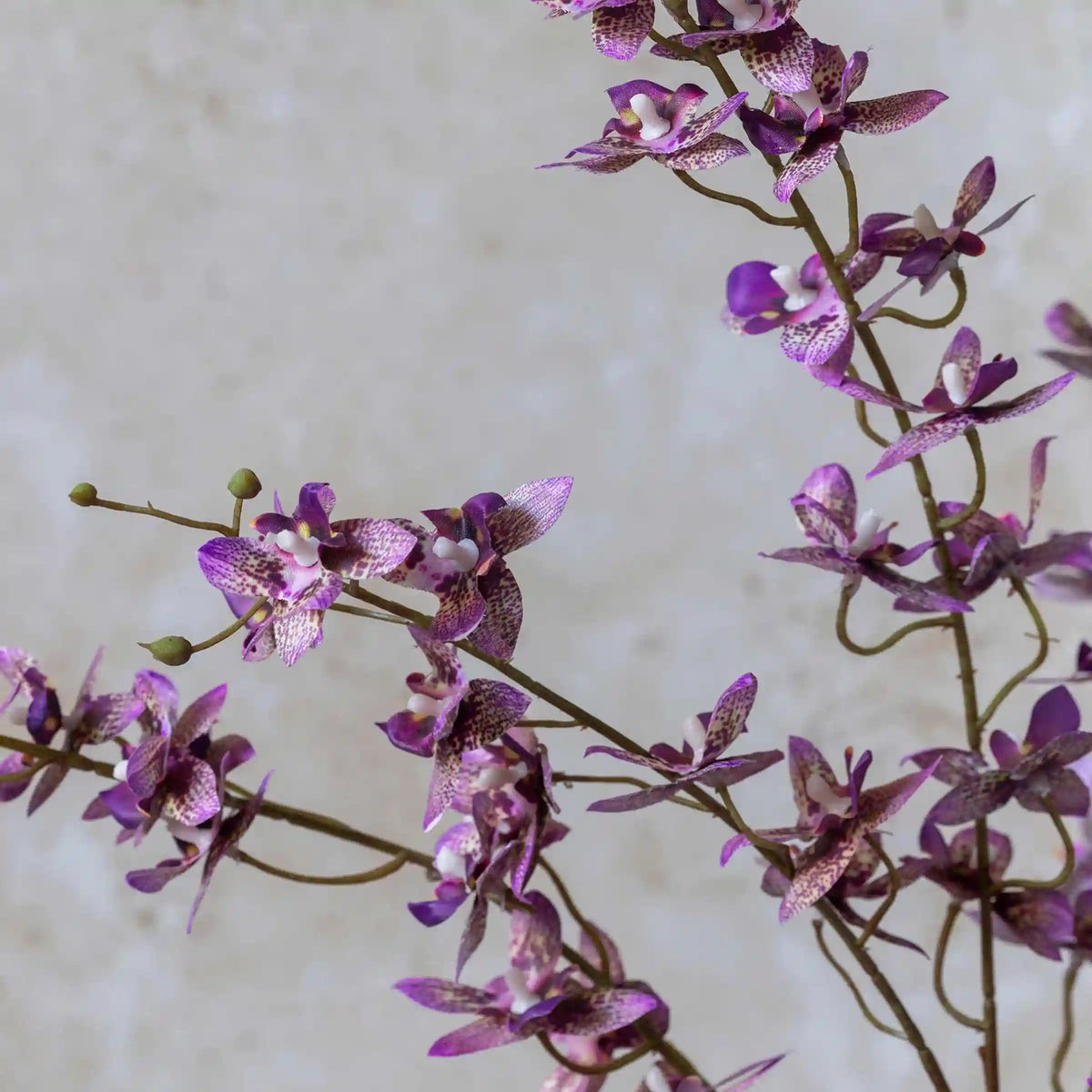 Artificial Oncidium Orchid Stem